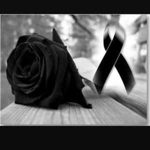 Meet your Posher, Reyna